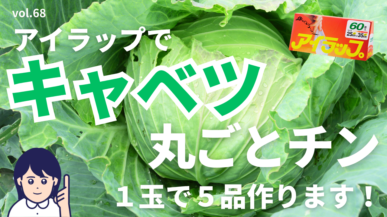 アイラップでキャベツ丸ごとレンチン！1玉で５品作ります！