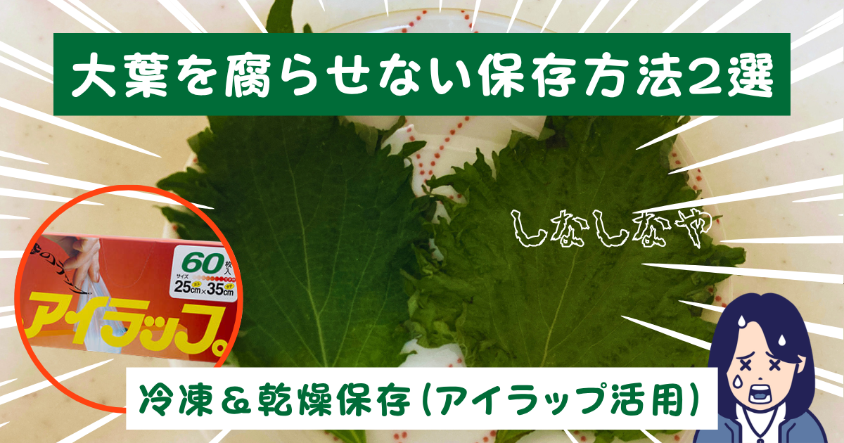 大葉を腐らせない保存方法２選（冷凍と冷蔵・アイラップ活用）